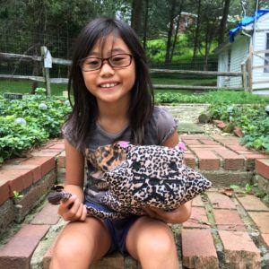 What a way to end the summer with this adorable kitty cat pillow to snuggle with!