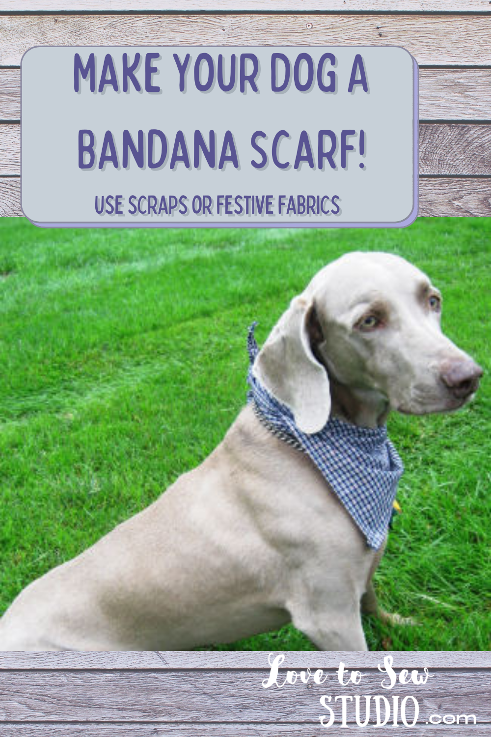 How to Sew Dog Bandanas in Multiple Sizes