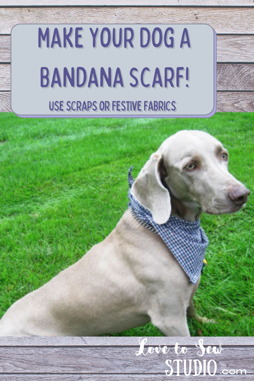 15 DIY Doggy Clothes & Bandanas