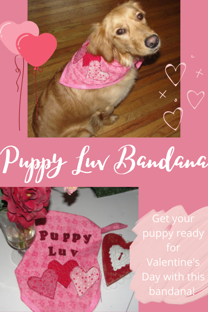 Valentine's Day bandana with hearts for dog