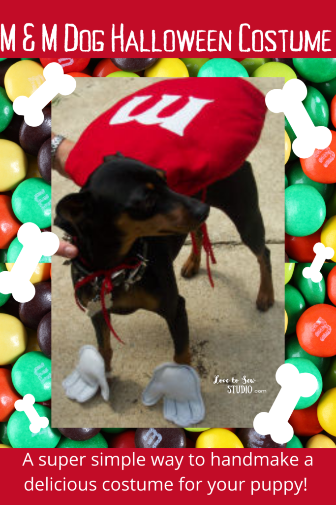 felt turned into an adorable m & m halloween costume for dogs