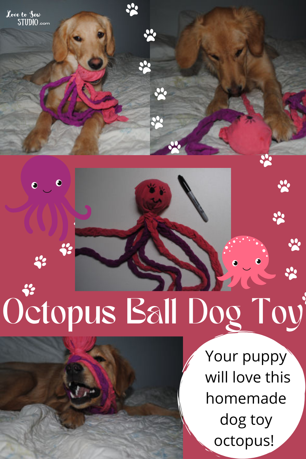 An Octopus Braided Ball Dog Toy