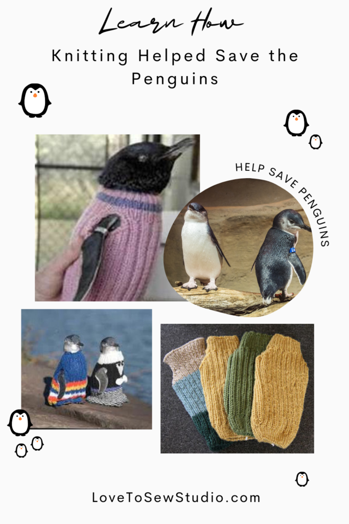 learning all about how knitting for penguins can help save them